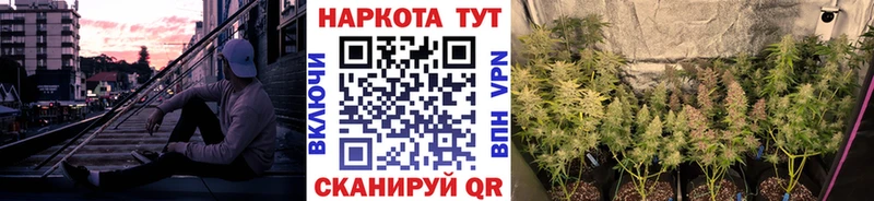 Все наркотики Назрань Cocaine  МЕФ  СОЛЬ  Каннабис  omg tor  ГАШ 