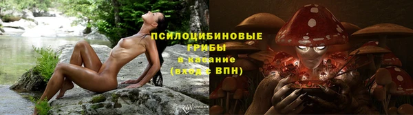 твердый Зеленокумск