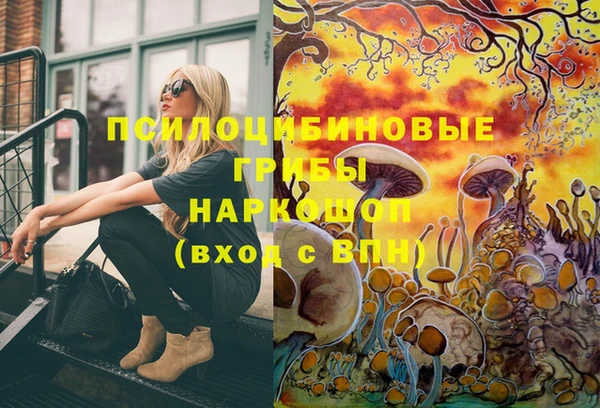 твердый Зеленокумск