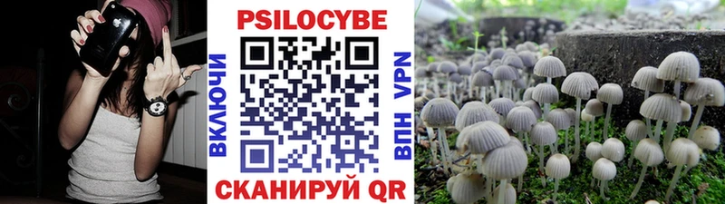 Псилоцибиновые грибы Cubensis  Назрань 